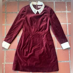 Ted Baker Burgundy Velvet Dress with White Collar